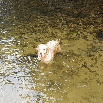 segovillano's profile picture. mirate tu y luego si puedes me criticas a mi