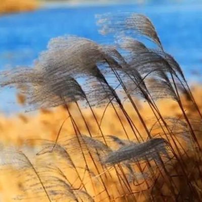 mtyz2wb's profile picture. 