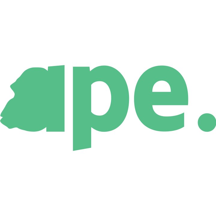 Conference Ape Profile