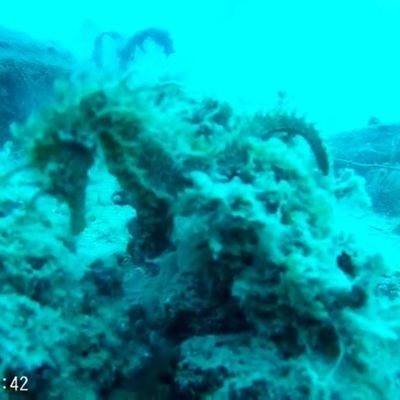 SuIcId4's profile picture. 