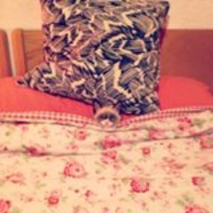 sKizuro's profile picture. Damn
