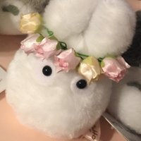 onimi (@demo6497) 's Twitter Profile