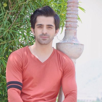 Gaurav Wadhwa Profile