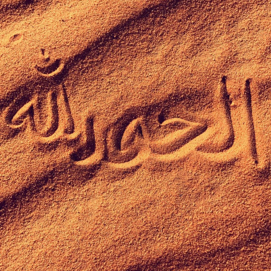 Aljozi13's profile picture. رحم الله نفساً رحلت الى ربها واخذت روحي معاها، رحم الله صوتاً اشتقت لسماعه، رحم الله ضحكاتٍ لاتغيب عن فكري رحمك الله يايمه عسى منزلك الجنه عقب ماكنتي بعيني