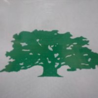Derwen Primary (@ysgolderwen) 's Twitter Profile