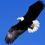 CecilioCeci19's profile picture. 