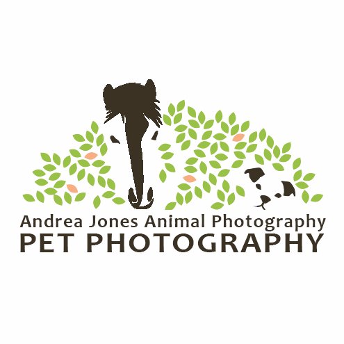 Photographer, animal lover, living the good life in beautiful West Wales, UK.