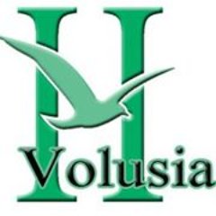 HVolusi Profile Picture