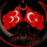 Ali Kocaoğlu (@adaliali54) Twitter profile photo