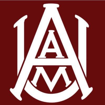 The Team of Alabama A&M Service Learning Project on HIV / AIDS