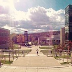 english355's profile picture. 