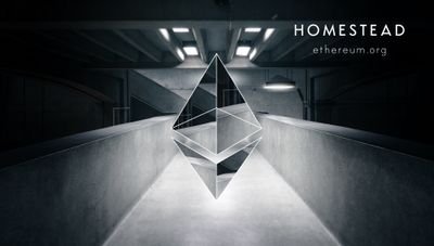 eth8k's profile picture. 