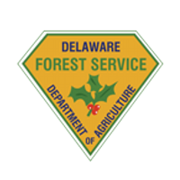 Delaware Forest Svc.(@DelawareForests) 's Twitter Profile Photo