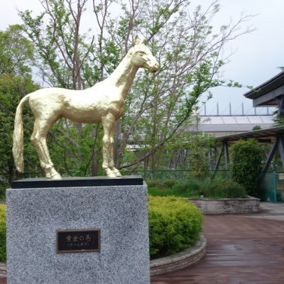 d62VjjMmktDKp1T's profile picture. 