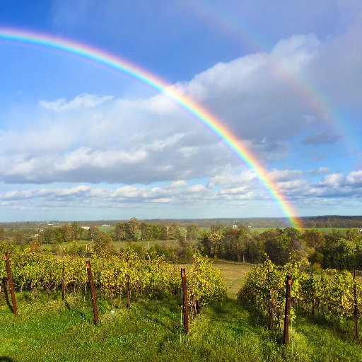 Boutique family owned winery committed to producing quality wines where terroir and passion is reflected in each bottle produced.