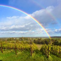 Catoctin Breeze Wine (@catoctinbreeze) 's Twitter Profile
