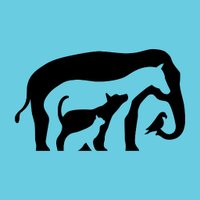 Morris Animal Foundation (@morris_animal) 's Twitter Profile