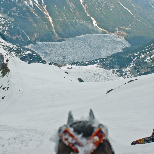 bartoszos's profile picture. 