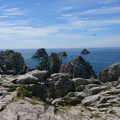 Gaid54's profile picture. Manager