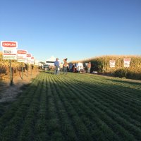 Curt Droogsma (@bigskyseedguy) 's Twitter Profile Photo Curt Droogsma (@bigskyseedguy) 's Twitter Profile Photo