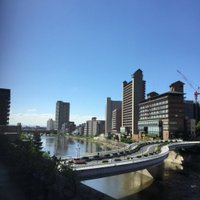 グループ・ジェンヌ (@ghonjoh8) 's Twitter Profile