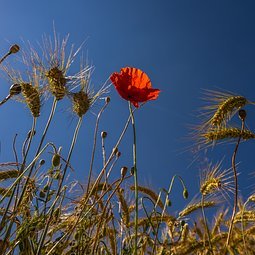 Kartdetour's profile picture. Lectrice, cuisinière, couturière, enseignante, dans n'importe quel ordre. Me voilà embarquée sur twitter à cause, grâce à une collègue.