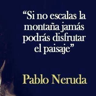 marealaranxa's profile picture. 