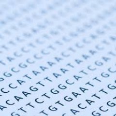 Commercial Bioinformatics at @illumina - views are my own.
Same handle over on B-Sky