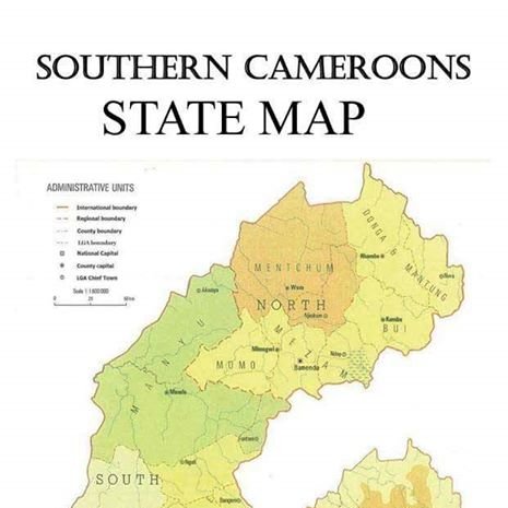 KosNBSocial's profile picture. 