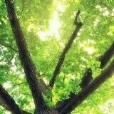 休み盛りさんのプロフィール画像