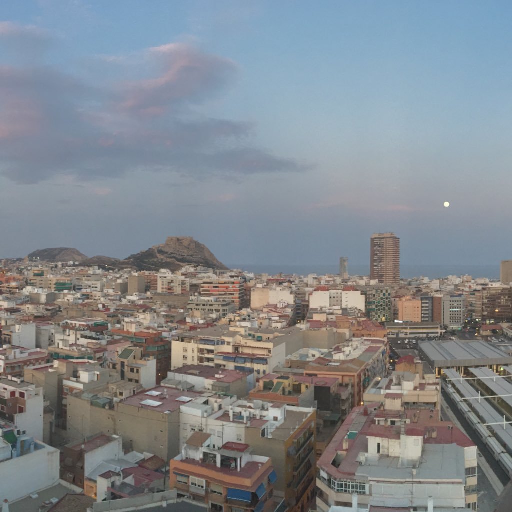 MsE_Perez's profile picture. 