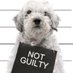 #StopYulin2025 (@stopyulin2015mx) Twitter profile photo #StopYulin2025 (@stopyulin2015mx) Twitter profile photo