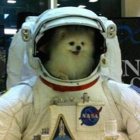 Ray of Hope (@vulcantelly) 's Twitter Profile