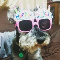 yuma ito ／いひがし (@yihigashi) 's Twitter Profile