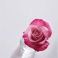 صروح المجد (@3toof6) Twitter profile photo