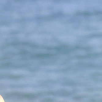 zorazora10's profile picture. スポーツとか将棋とかドラマとか社会問題について思いついたことを垂れ流したり垂れ流さなかったり。