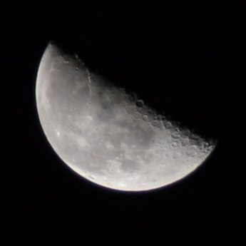 tommy_5656's profile picture. 料理と写真と野菜作り。 時々ドライブとかパン🍞こねたりとか。 無言フォローさせてもらってます🙏
ゆるゆる家庭菜園10年目🍅