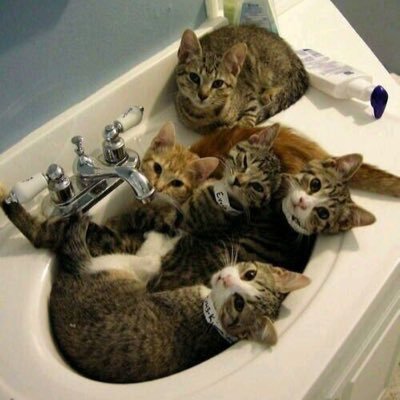 C_APLUSA's profile picture. 生活方式 技術和科學