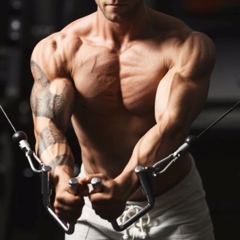 baliworkout's profile picture. #Workout because your body deserves it!