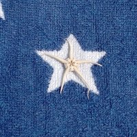 Estrella Fdez. (@estrellacine) 's Twitter Profile