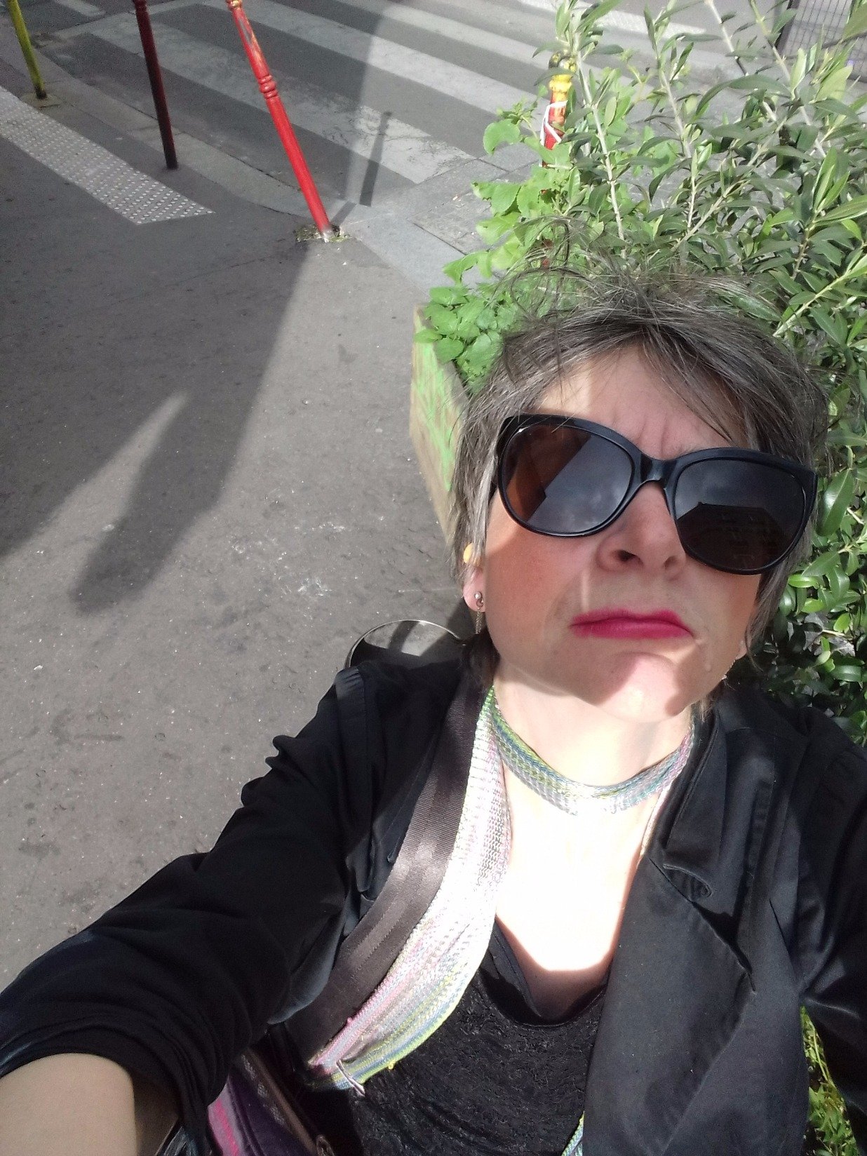 Auteure compositeur comédienne musicienne chanteuse clown