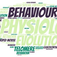 Physiol_Evol_Behv (@physiol_evol_be) 's Twitter Profile