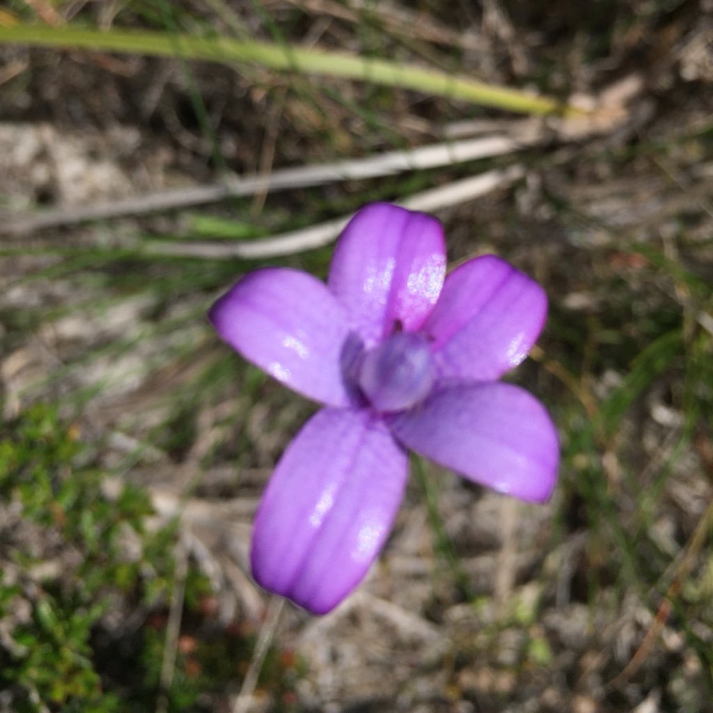 Jjk_13's profile picture. Might be creeping up on retirement but love what technology can do and I’m determined that it won’t ever beat me.