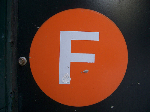 factoidoftheday's profile picture. Making fake facts, daily!