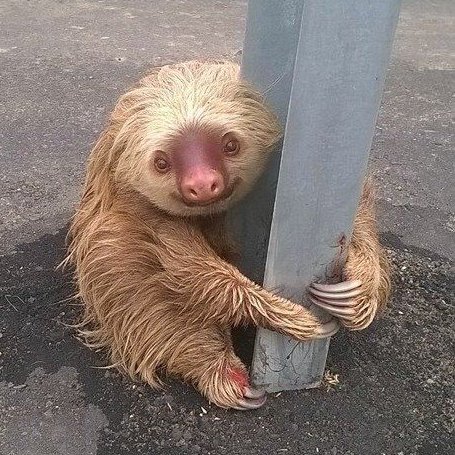 bubbleboops's profile picture. Cats, reading, video games, programming