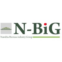 N-BiG(@nbignamibia) 's Twitter Profile Photo