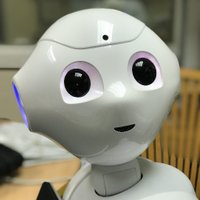 Pepper - Southend (@peppersouthend) 's Twitter Profile