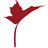 MapleBallet's profile image
