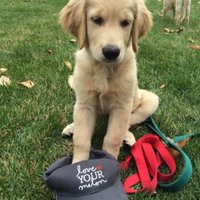 quloveyourmelon (@qulymcrew) 's Twitter Profile