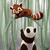 SaveThePanda (@_savethemnow_) 's Twitter Profile